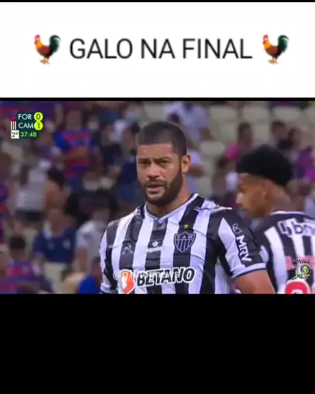 Jogo do Galo - Trisca