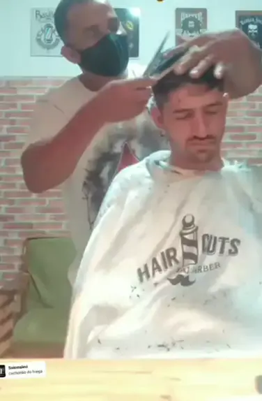 solo hairy cat | Discover