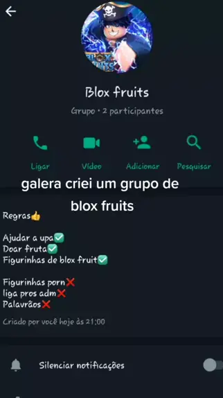 pra entrar no grupo do blox fruits só falar comigo no discord