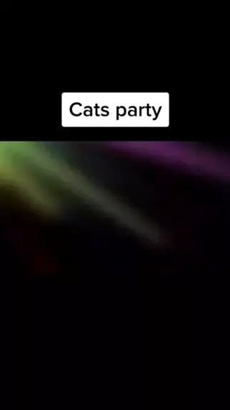 DJ Gatos