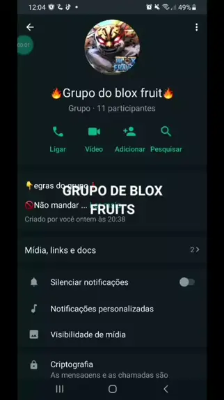 Grupo de WhatsApp UPAR CONTAS DE BLOX FRUIT