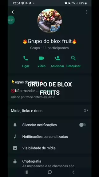 bloxfruits criei um grupo pra jogadores de blox fruits