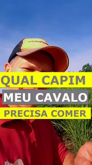 O capim que pode matar os cavalos. 