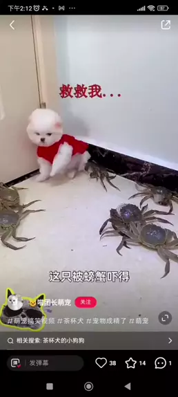搜狗视频搜索 | Discover