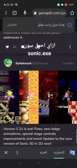 Sonic 3D in 2D by Sotaknuck