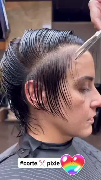 corte de cabelo chanel & snowpixie| Discover