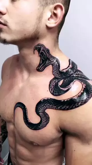 Buy Snake Temporary Tattoo set of 2 / Snake Tattoo Online in India - Etsy