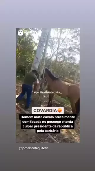 Homem mata cavalo a pauladas - CIDADE ALERTA MINAS 