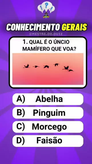 Quiz perguntas e respostas sobre conhecimentos Gerais #quiz