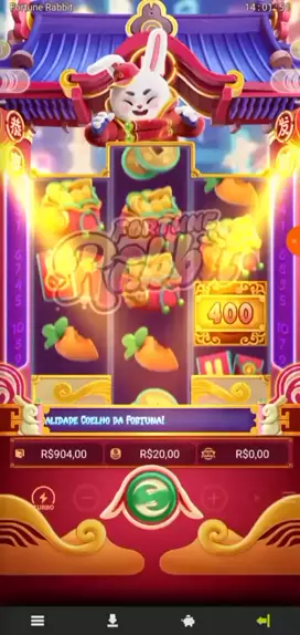 jogo rabbit😛 usagi shima: cute bunny game