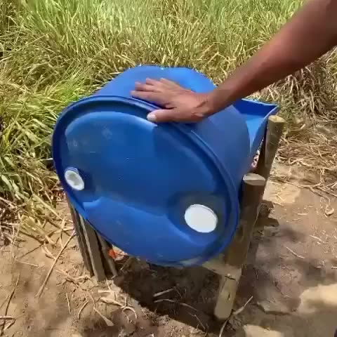como jogar burro bebe água