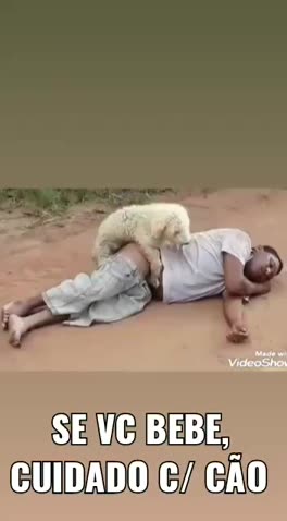 cachorro cu de bebada não tem dono | Discover