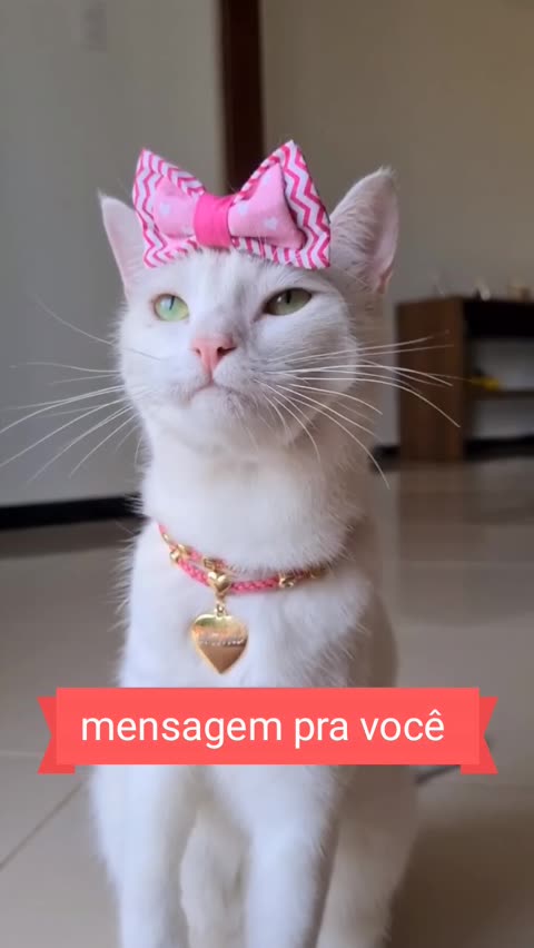 gifs com mensagem de bom dia com cachorro | Discov ...| Kwai