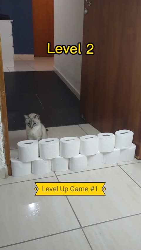 Jogo Para Gato - Borboleta Na Tela (Super Divertido) 🦋 