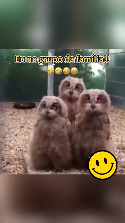 Grupo da família 😂 . . #grupodafamilia #grupodafamilia