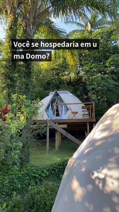 pedomo | Discover