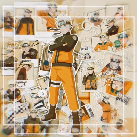 polaroind png | Discover