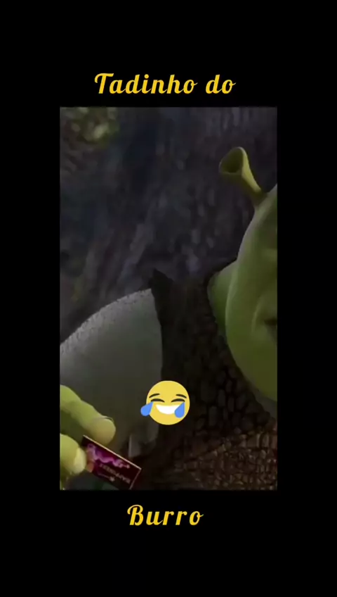 The best Burro Do Shrek memes :) Memedroid