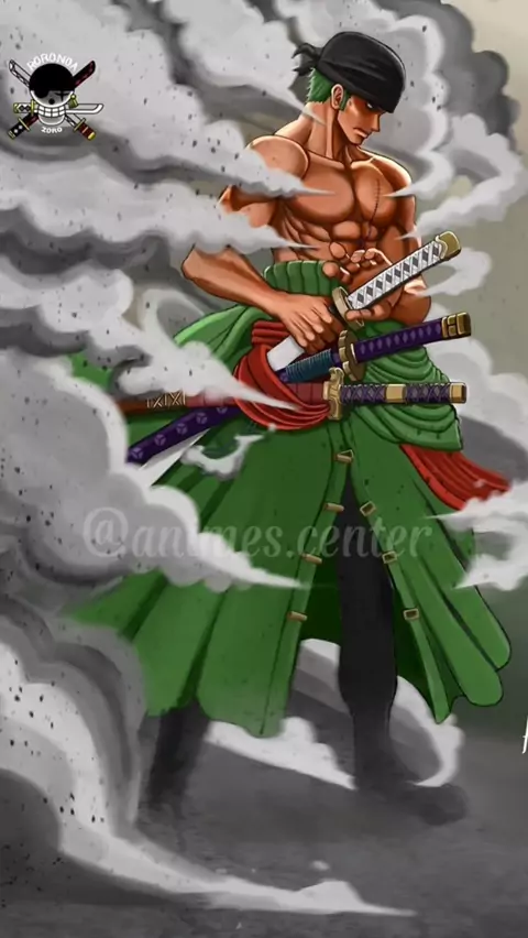 Pin de Lou em Otaku  Zoro, Parabéns, Espadachim