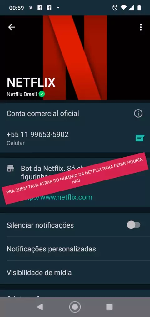 O Bot de Figurinhas para WhatsApp Oficial Netflix - [Número Bot Netflix no  WhatsApp] 