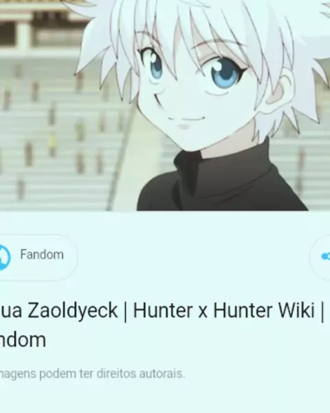 Hunter X Hunter, Wiki