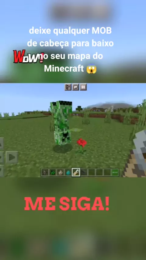 encontrei os MOBS do Minecraft na VIDA REAL 