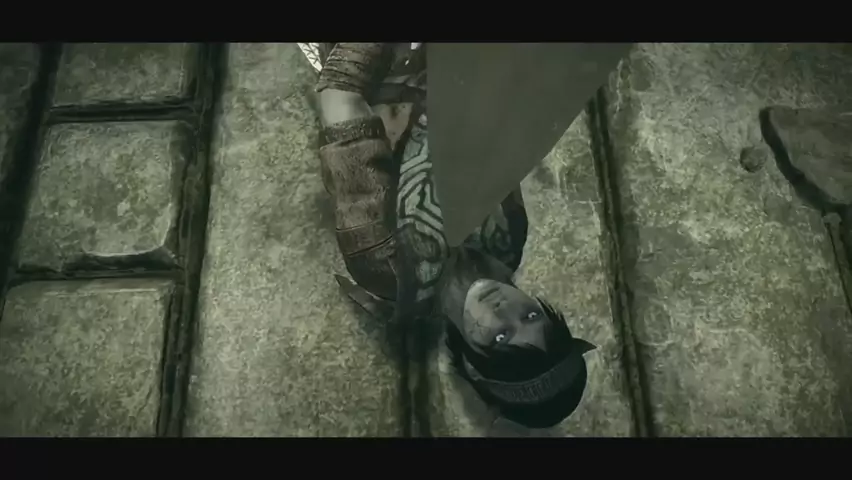 Shadow of the Colossus - teorias