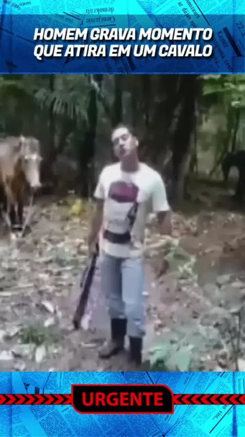 homem matando cavalo com facada