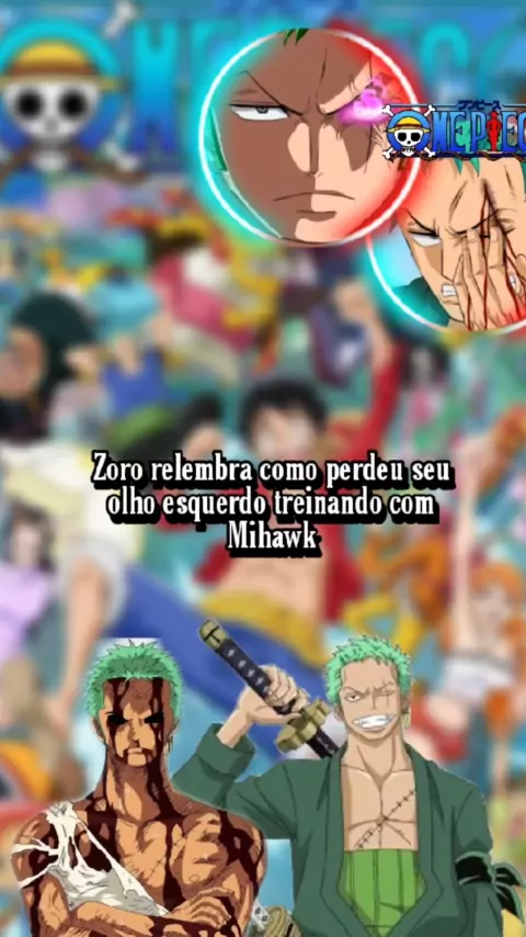 Zoro relembra como perdeu seu olho esquerdo treinando com Mihawk - One  Piece 