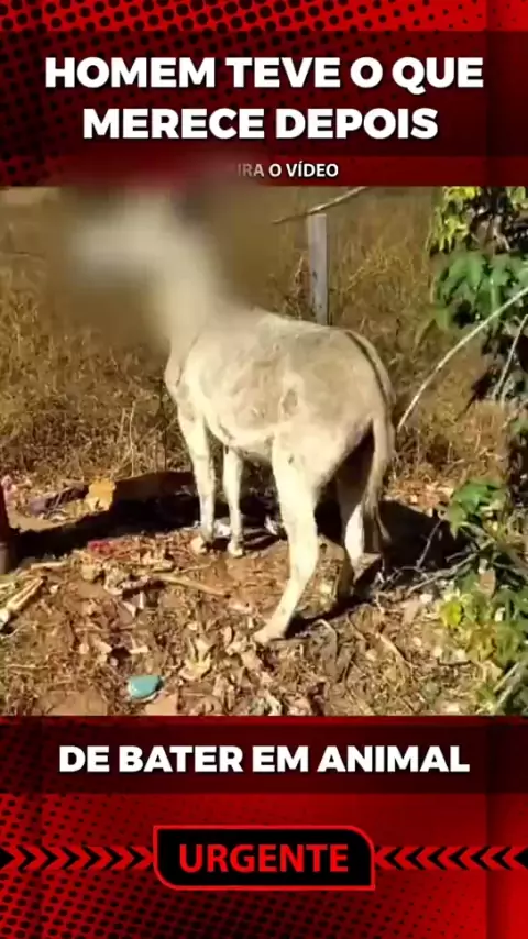 Homem que postou vídeo matando cavalo é morto a golpes de faca