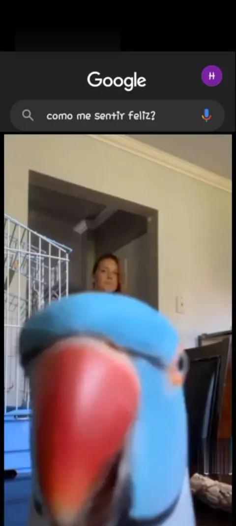 snapwins leak | Discover 