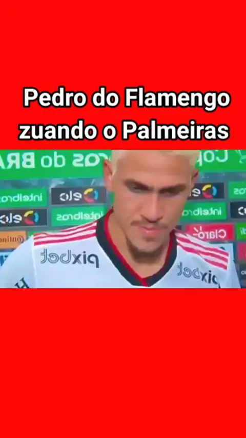 MEMES - JOGADORES DO FLAMENGO ZOANDO O PALMEIRAS NÃO TEM MUNDIAL - MÚSICA  ZOANDO O PALMEIRAS 