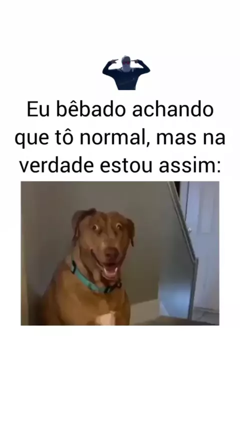 meme do cachorro deitado bêbado | Discover