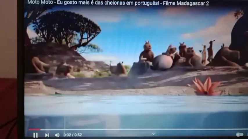 Moto Moto - Eu gosto mais é das cheionas em português! - Filme Madagascar 2  