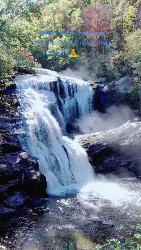 enature.com & enature images| Discover