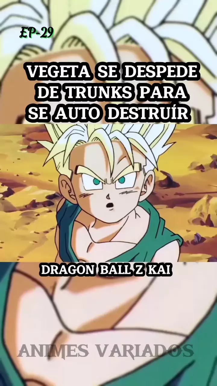 Vegeta Se Despede De Trunks - Dragon Ball Z - Saga Majin Boo
