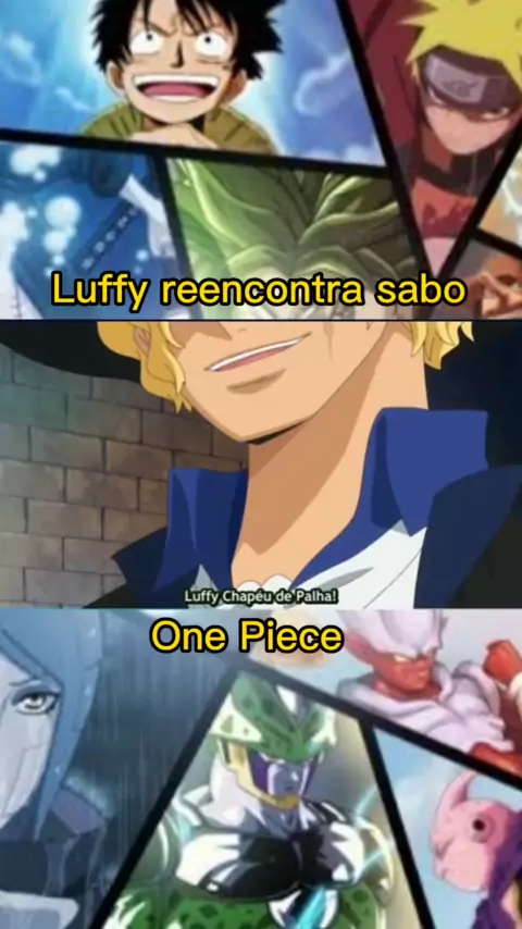 fy #one #piece #onepiece #anime #luffy