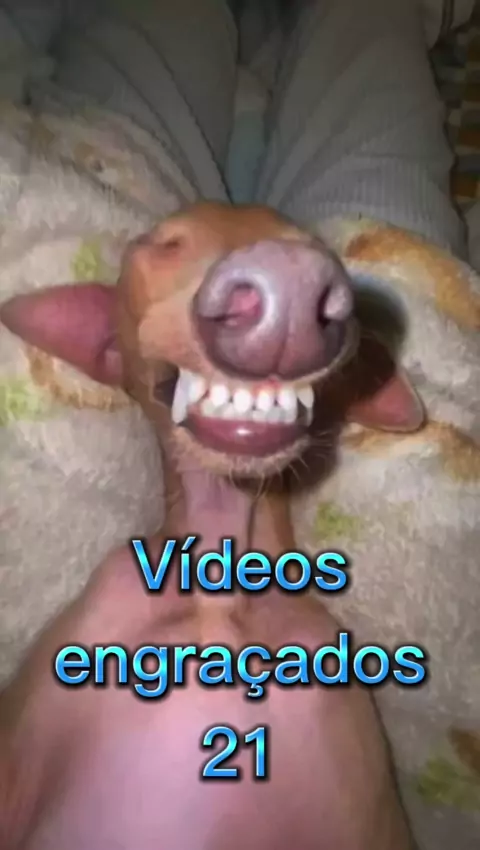 VÍDEOS ENGRAÇADOS 😂🤣#videos #videos #videosdehumor #humor #comedia #, Funny Videos