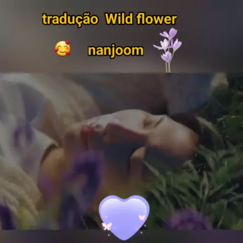 Wild Flower ft. Youjeen (Tradução em Português) – RM