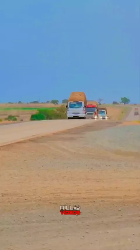 música de caminhão arqueado dos brabo