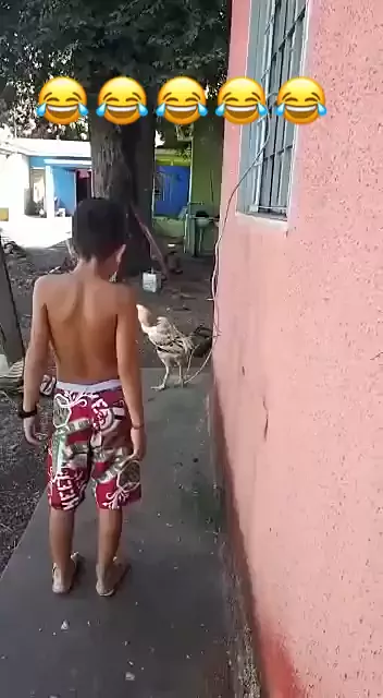 SHORTS VIDEOS ENGRAÇADOS 🤣 