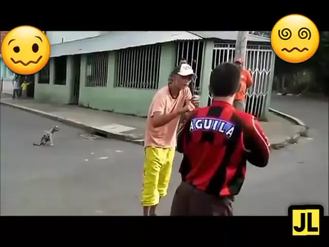 videos engraçados de bêbados brigando