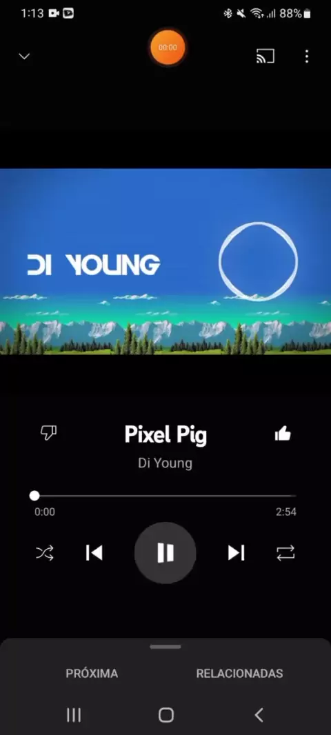 Di Young - Pixel Pig 