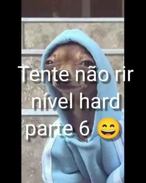 Tentem adivinhar 😂😂  Charadas engraçadas, Memes engraçados