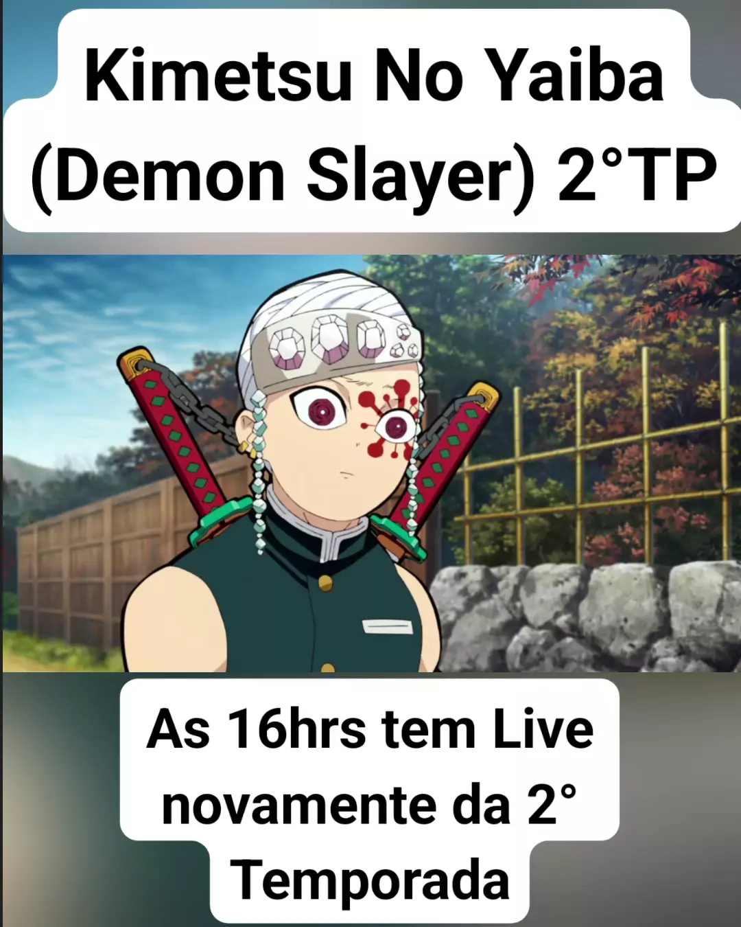 demon slayer 2 temporada ver online