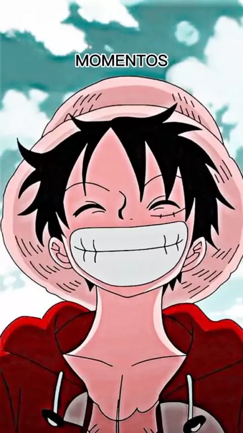 fotos do luffy engraçado