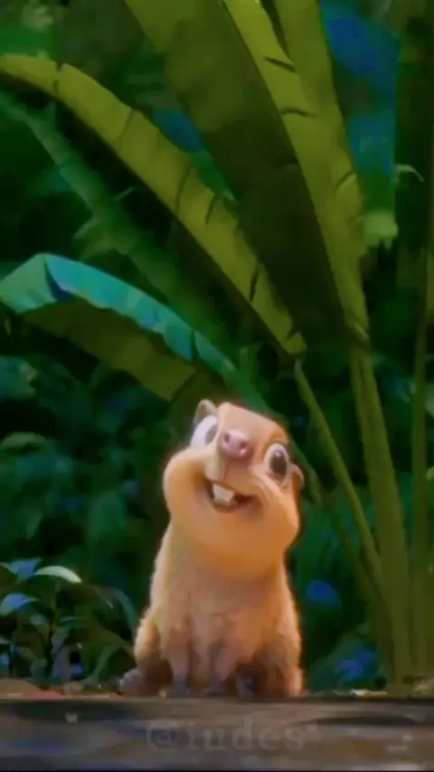 meme da clara a capivara