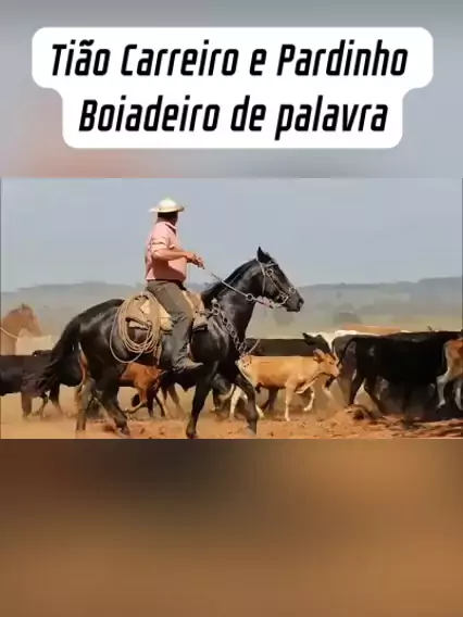 🐎﻿ Cavalo Que Pula 🐎 Tião Carreiro e Pardinho 