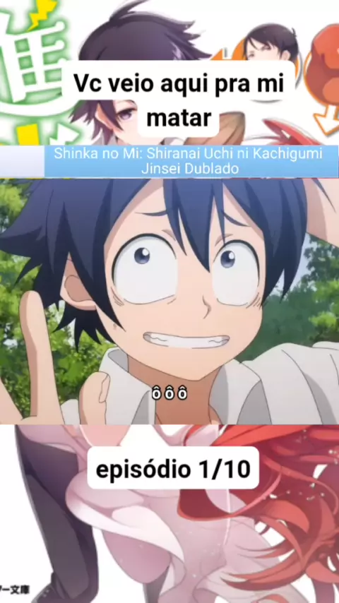 shinka no mi : shiranai uchi ni kachigumi jinsei - todos os episódios  dublados primeira temporada - anime completo - anime em português 