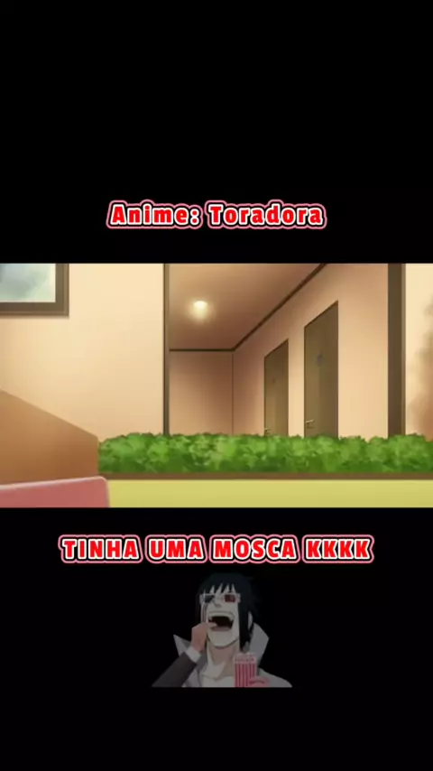 Toradora! - Anitube